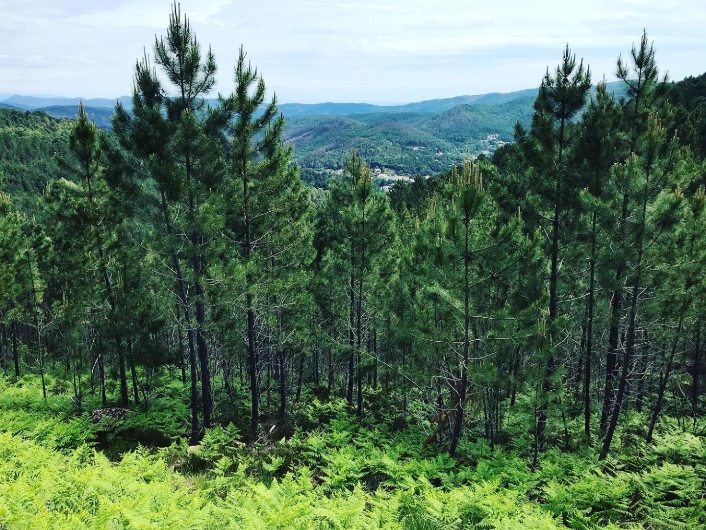 Detente Au Coeur Des Cevennes Besseges Eksteriør bilde