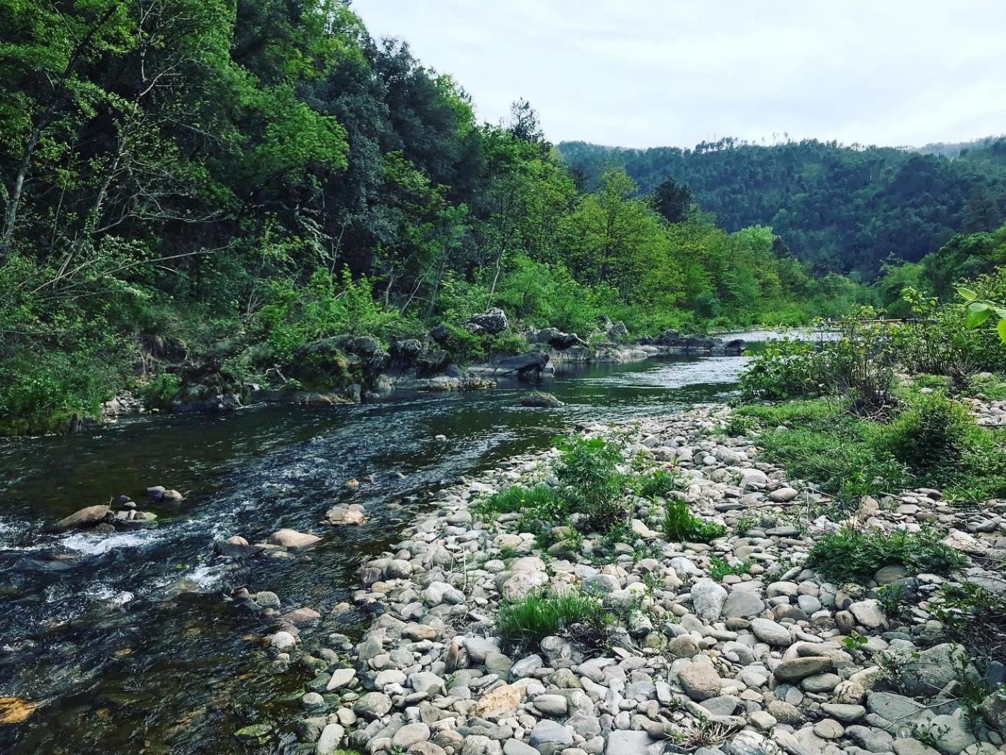 Detente Au Coeur Des Cevennes Besseges Eksteriør bilde